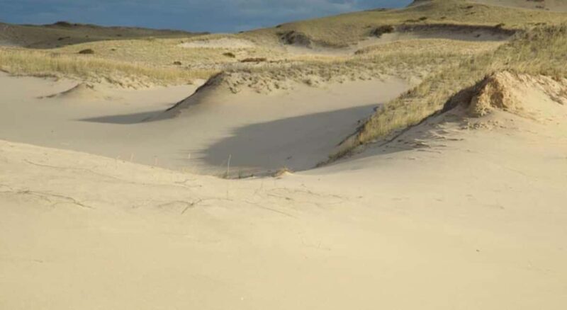 Provincetown: Cape Cod National Seashore Park Dune Tour - Exploring the Dunes in Style: What to Expect