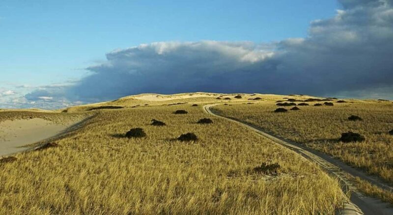 Provincetown: Cape Cod National Seashore Park Dune Tour - Understanding the Value