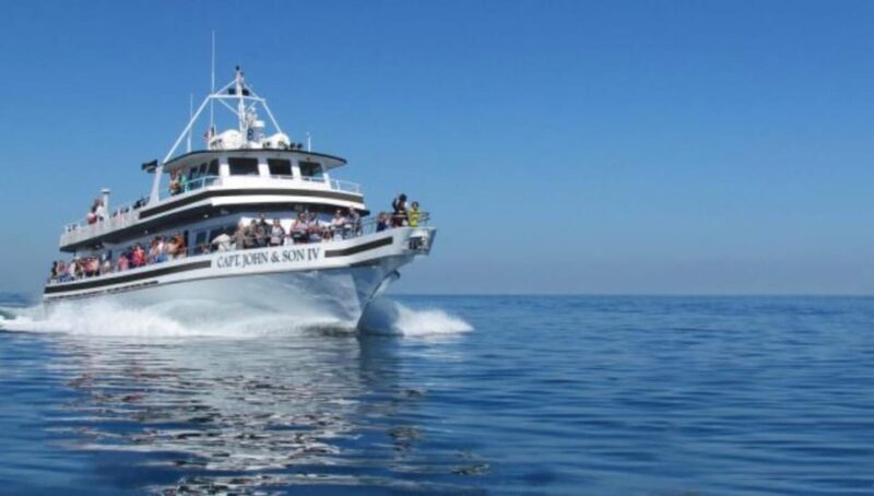Provincetown: Whale Watching Cruise - Frequently Asked Questions