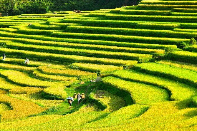 Pu Luong Afternoon Stroll Rice Fields Weaving and Local Life - Key Points