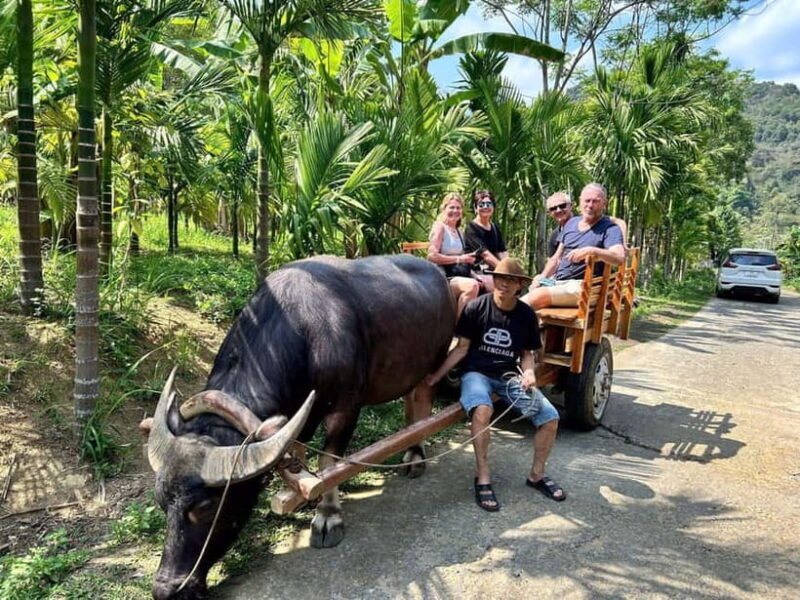 Pu Luong: Bamboo Bridge, Cooking Class & Buffalo Ride - An In-Depth Look at the Tour