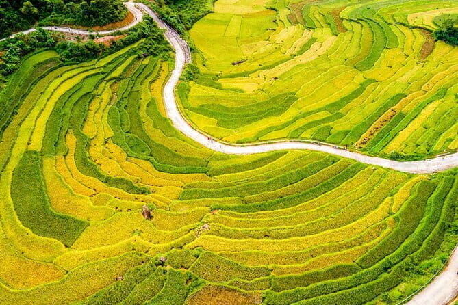 Pu Luong Insight Half Day of Nature and Culture Discovery - Exploring the Pu Luong Insight Half Day Tour: A Taste of Central Vietnam’s Natural Beauty and Culture