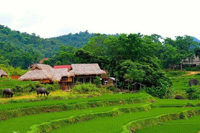 Pu Luong Nature Reserve 2 Days 1 Night Tour from Hanoi - In-Depth Look at the Pu Luong Experience