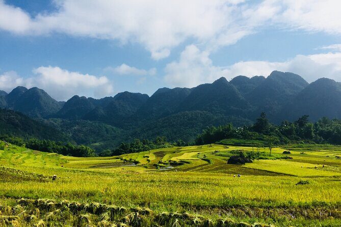 Pu Luong Nature Reserve & Ninh Binh Escape 3 Days Tour From Hanoi - The Itinerary Breakdown: A Closer Look