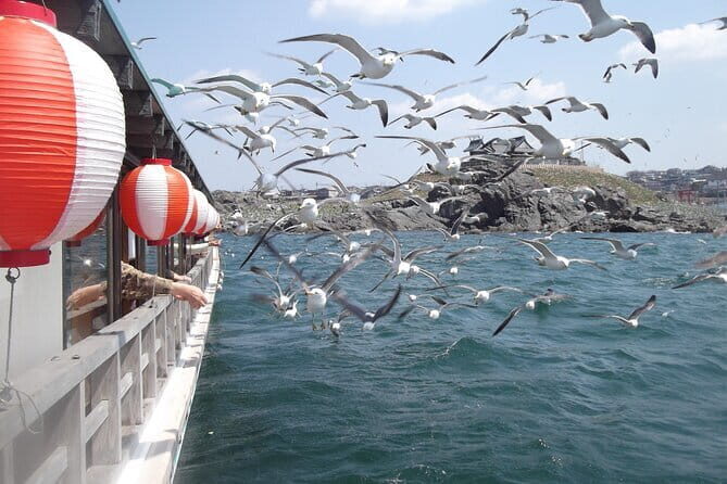 Public Hachinohe Yakata Boat Inner Harbor Tour - Practical Tips for Travelers