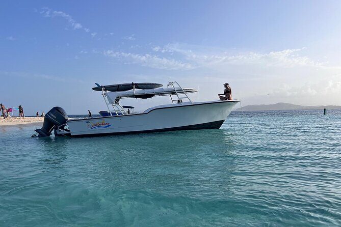 Public or Private Boat Trip to Icacos & Palomino - Practicalities: What You Need to Know