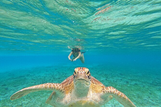 Public Snorkeling 3 Islands - Key Points