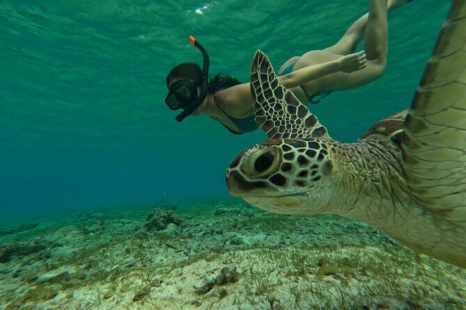 Public Snorkeling 3 Islands - What the Tour Includes and What to Bring