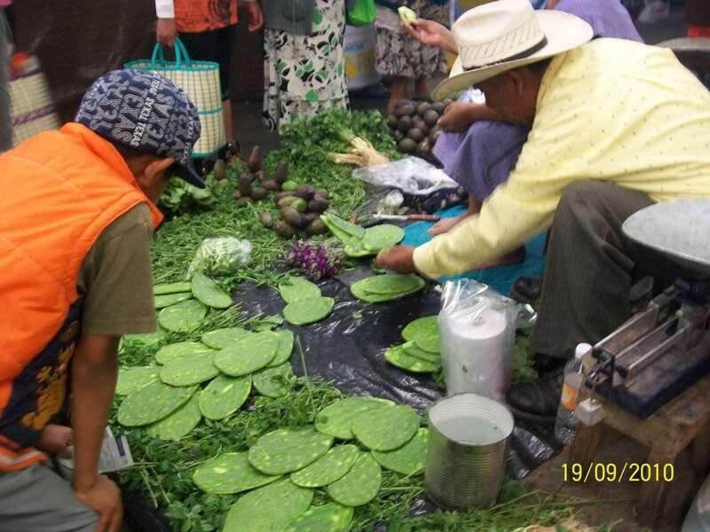 Puebla: 5-Hour Culinary Tour with Tastings - Food Tastings: A Gastronomic Feast