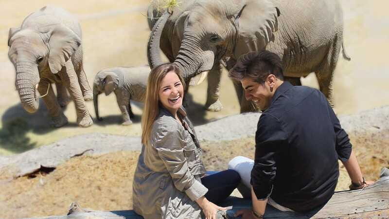 Puebla Africam Safari Park, Live an Unforgettable Adventure! - Who Will Love This Experience?