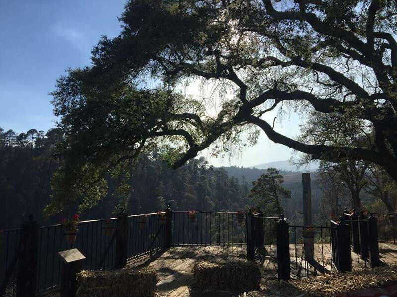 Puebla: Alpinia Mountain and Nature Park - Key Points