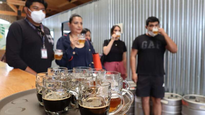 Puebla: Cholula Craft Beer Tour by Tram - Key Points
