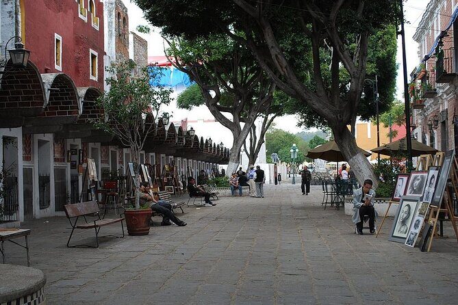 Puebla City Tour & Fireflies Sanctuary from Mexico City - The Highlight: Fireflies at Santuario de las Luciérnagas