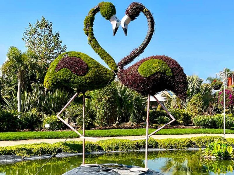 Puebla: Magical Atlixco, Volcano, Unique Garden & Plant Maze - Key Points