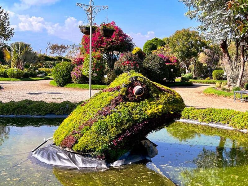 Puebla: Magical Atlixco, Volcano, Unique Garden & Plant Maze - The Glass Viewpoint: Overlooking Puebla