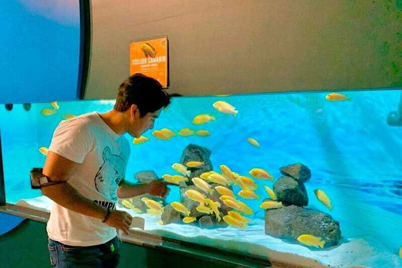 Puebla: Ticket to Aquarium Michin - Marine and Land Exhibits