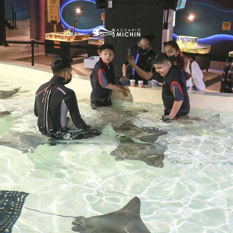Puebla: Ticket to Aquarium Michin - Extreme Fun and Physical Activities