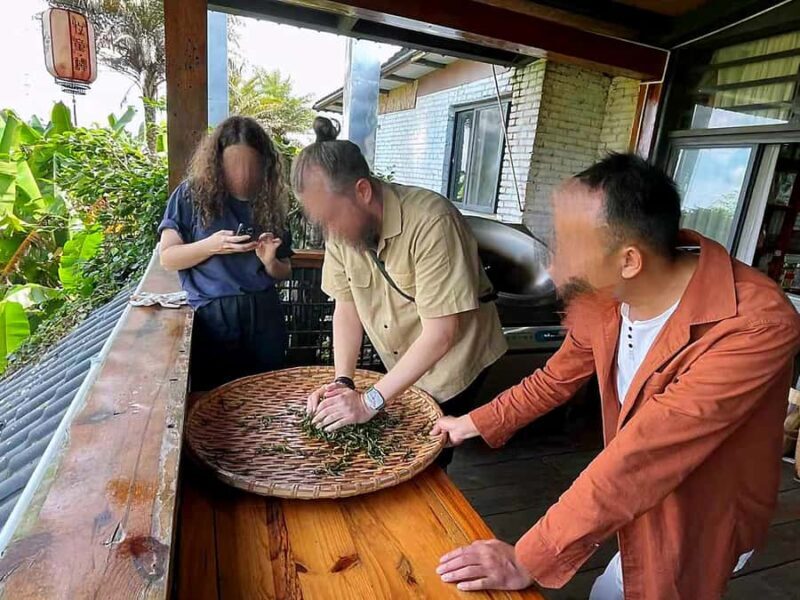 Puer Tea Picking and Tasting | 3-4 Hour Morning Trip - Analyzing the Value