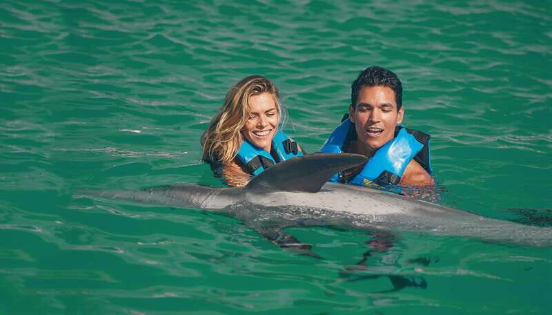 Puerto Aventuras: Amazing Dolphin Encounter with Lunch - Key Points