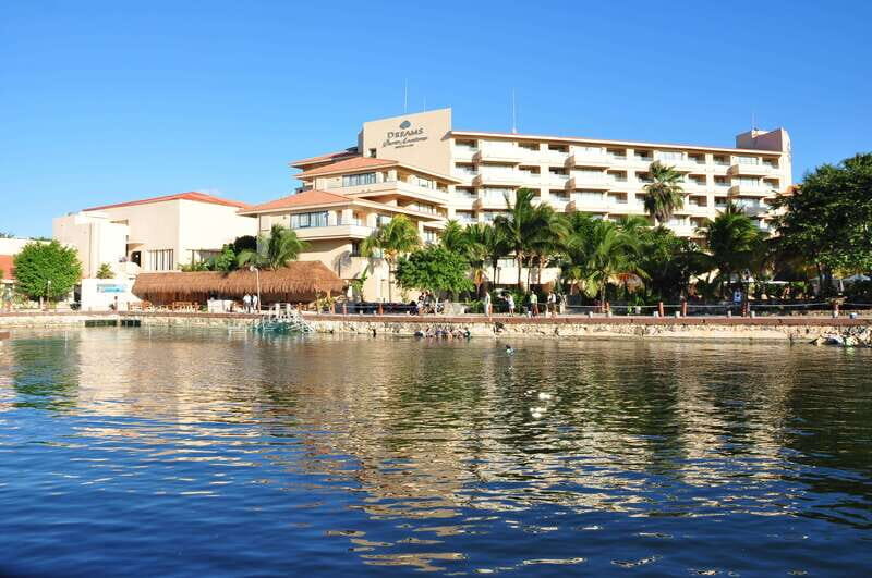Puerto Aventuras: Amazing Dolphin Encounter with Lunch - Discovering the Dolphin Experience in Puerto Aventuras
