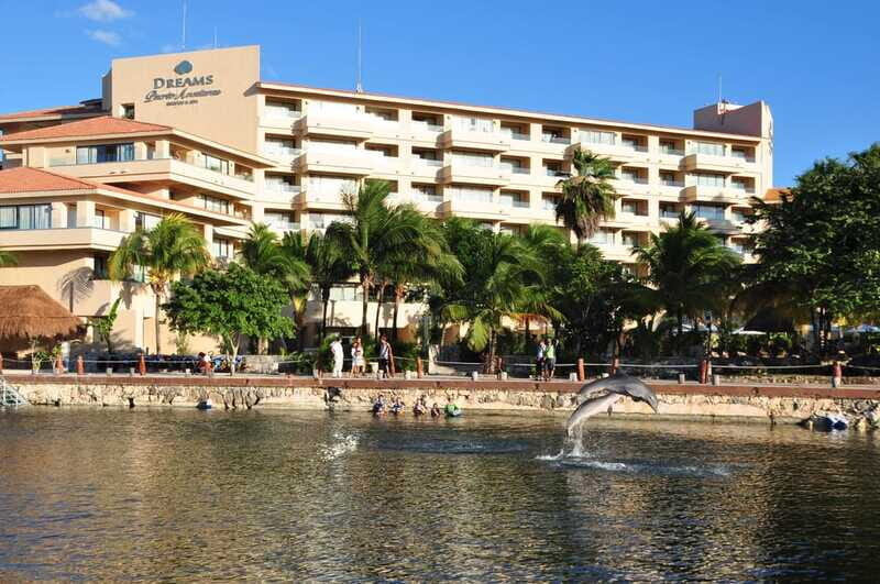 Puerto Aventuras: Amazing Dolphin Encounter with Lunch - Final Thoughts