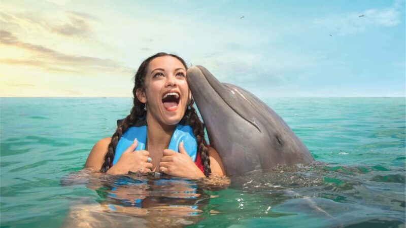 Puerto Aventuras: Dolphin and Manatee Interaction with Lunch - Key Points