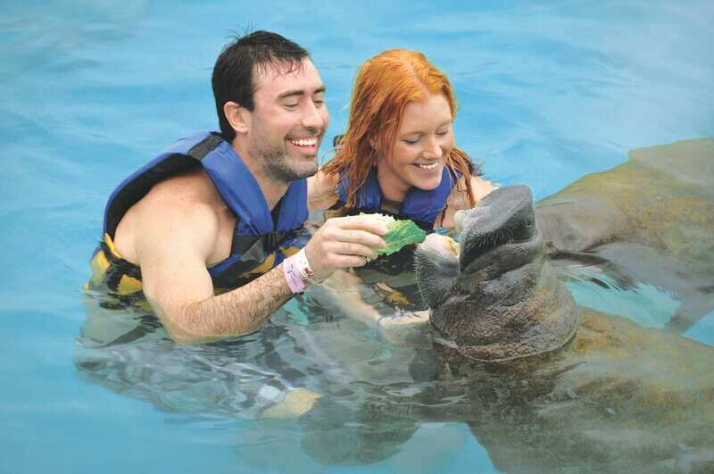 Puerto Aventuras: Dolphin and Manatee Interaction with Lunch - Final Thoughts