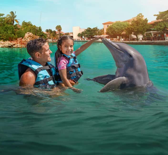 Puerto Aventuras: Dolphin and Manatee Interaction with Lunch - FAQ