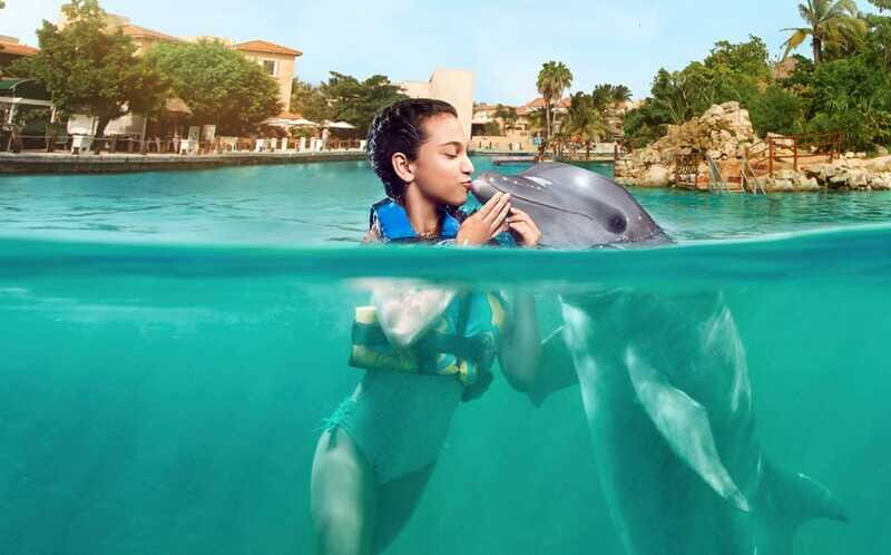 Puerto Aventuras: Dolphin Encounter with Buffet Lunch - FAQs