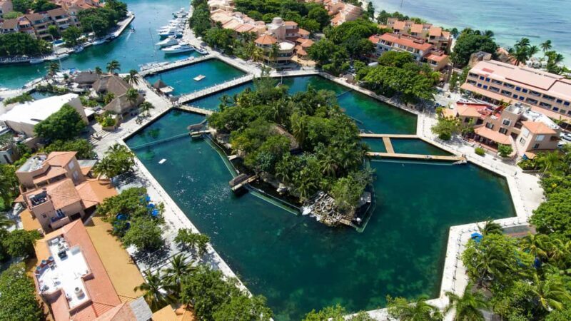 Puerto Aventuras: Dolphin & Manatee Encounter with lunch - Key Points