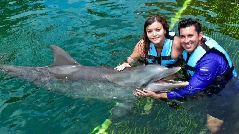 Puerto Aventuras: Dolphin & Manatee Encounter with lunch - Exploring the Experience in Depth