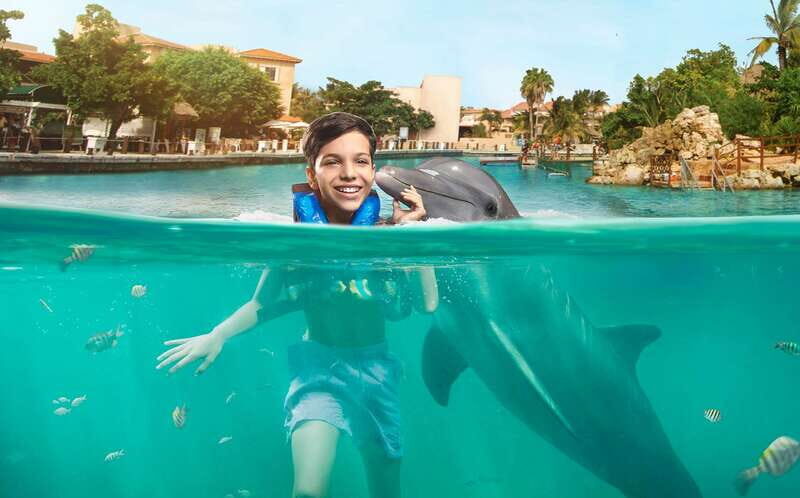 Puerto Aventuras: Dolphin Swim, Sea Lions, Manatees, & Lunch - An Overview of the Experience