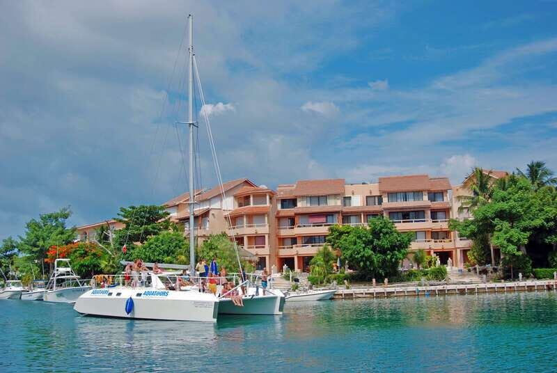 Puerto Aventuras: Dolphin Swim, Sea Lions, Manatees, & Lunch - Final Thoughts: Who’s It For?