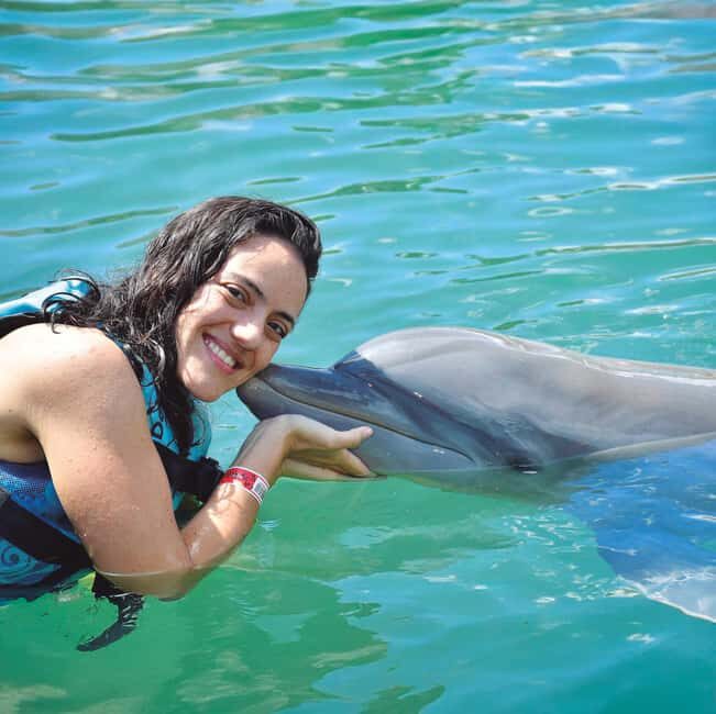 Puerto Aventuras: Dolphins, Manatee & Sea Lion interaction - Meeting Point and Practicalities