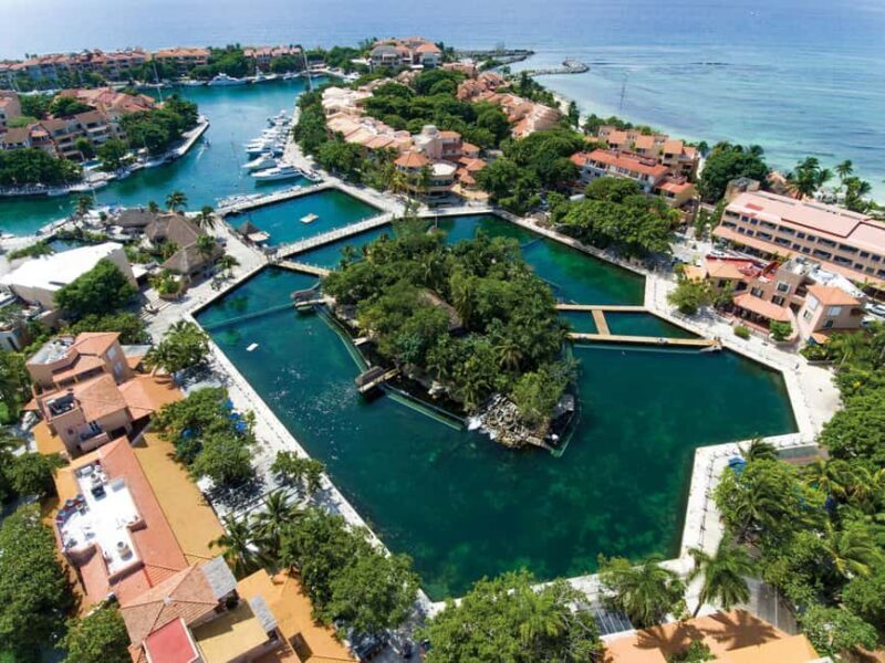 Puerto Aventuras: Dolphins, Manatee & Sea Lion interaction - Value and Cost Analysis