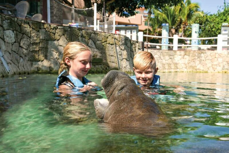 Puerto Aventuras: Dolphins, Manatee & Sea Lion interaction - Who Will Love This Tour?