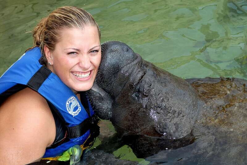 Puerto Aventuras: Manatee Encounter - An Honest Look at What You Can Expect