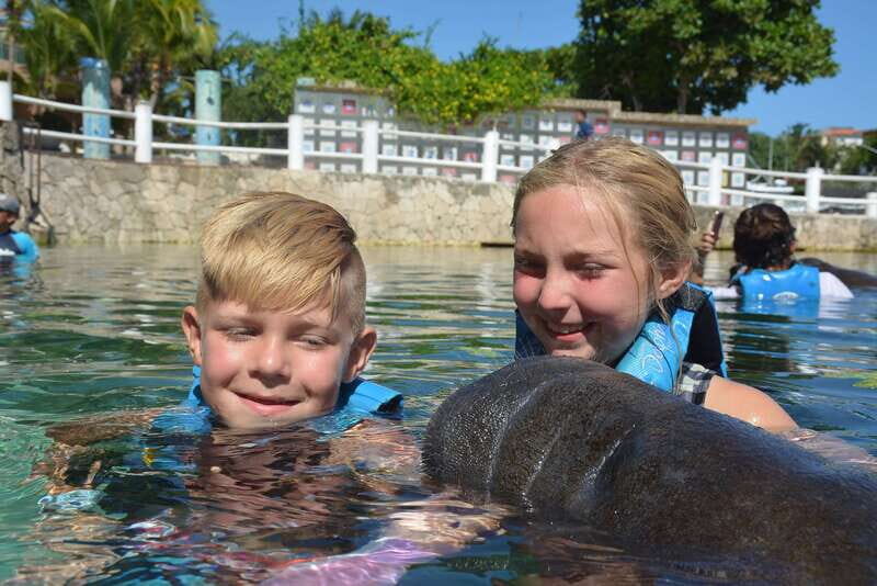 Puerto Aventuras: Manatee Encounter - The Sum Up: Is It Worth It?