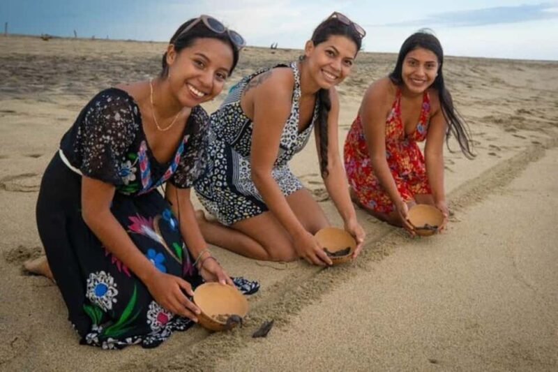 Puerto Escondido: Baby Turtle Release Tour - Key Points