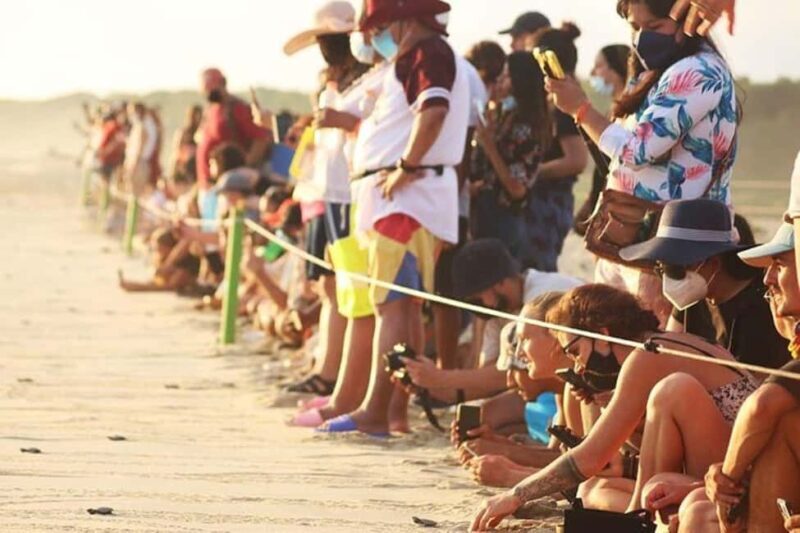 Puerto Escondido: Baby Turtle Release Tour - An Authentic, Heartwarming Experience