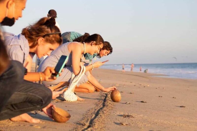 Puerto Escondido: Baby Turtle Release Tour - What Travelers Say