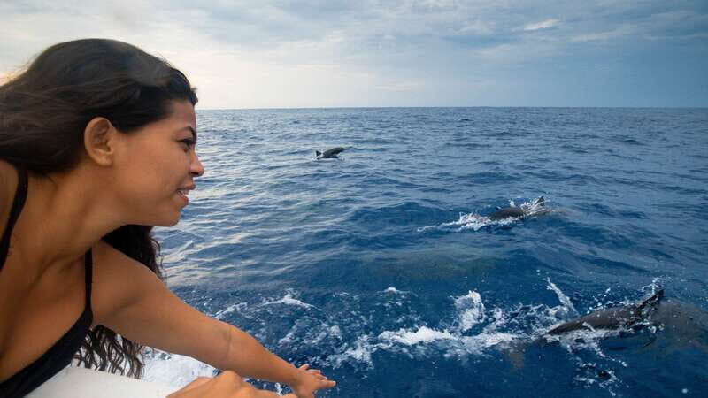 Puerto Escondido: Boat Tour among Dolphins and Turtles - The Sum Up