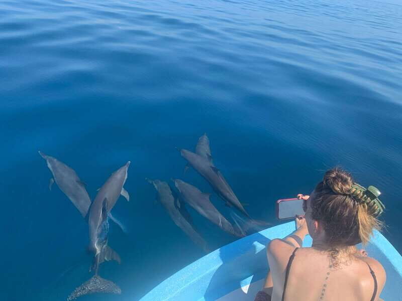 Puerto Escondido: Boat Tour to see Dolphins and Marine Life - Introduction