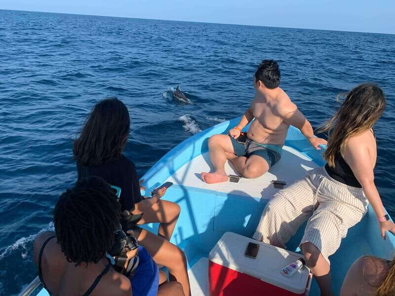 Puerto Escondido: Boat Tour to see Dolphins and Marine Life - Practical Tips for Travelers