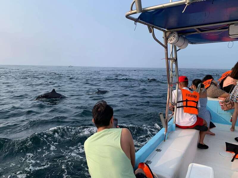 Puerto Escondido: Boat Tour to see Dolphins and Marine Life - The Sum Up