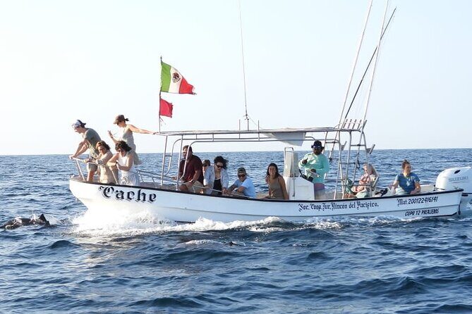 Puerto Escondido Dolphin and Whale Watching Adventure - Key Points