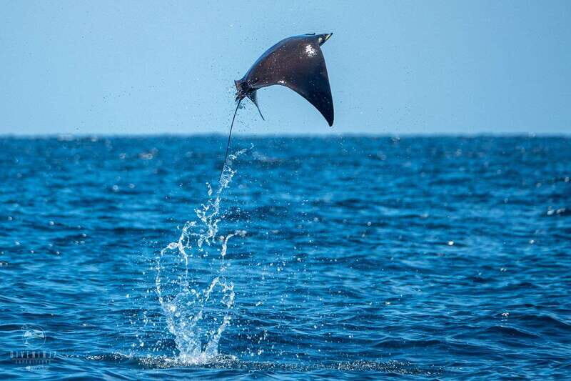 Puerto Escondido: Family Private Boat Tour - An In-Depth Look at the Puerto Escondido Private Boat Tour