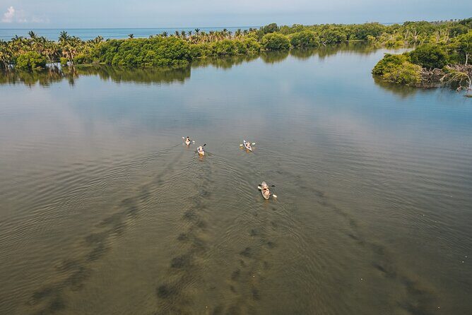 Puerto Escondido: Manialtepec Lagoon by Kayak - Frequently Asked Questions