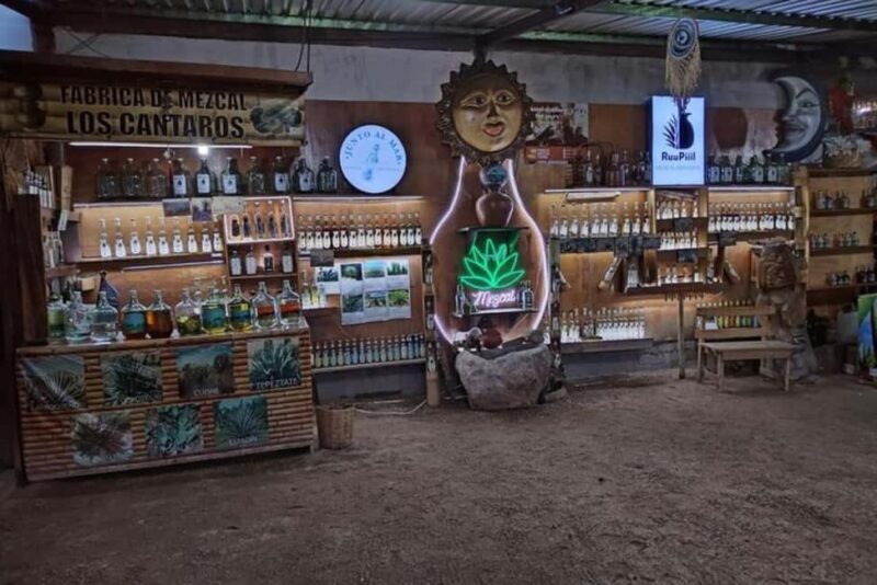 Puerto Escondido: Mezcal, Coffee, and Pedal Loom Factory - Introduction