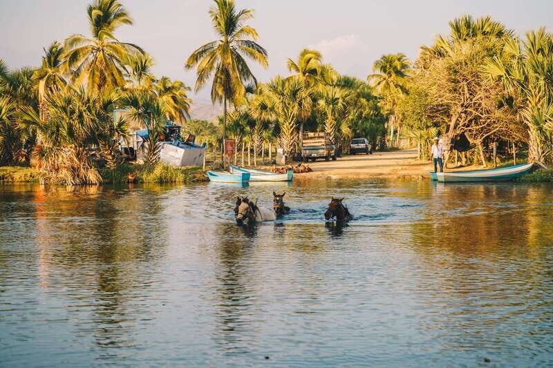 Puerto Escondido: Sunset Horse Back Riding Tour - Final Thoughts: Is This Tour for You?